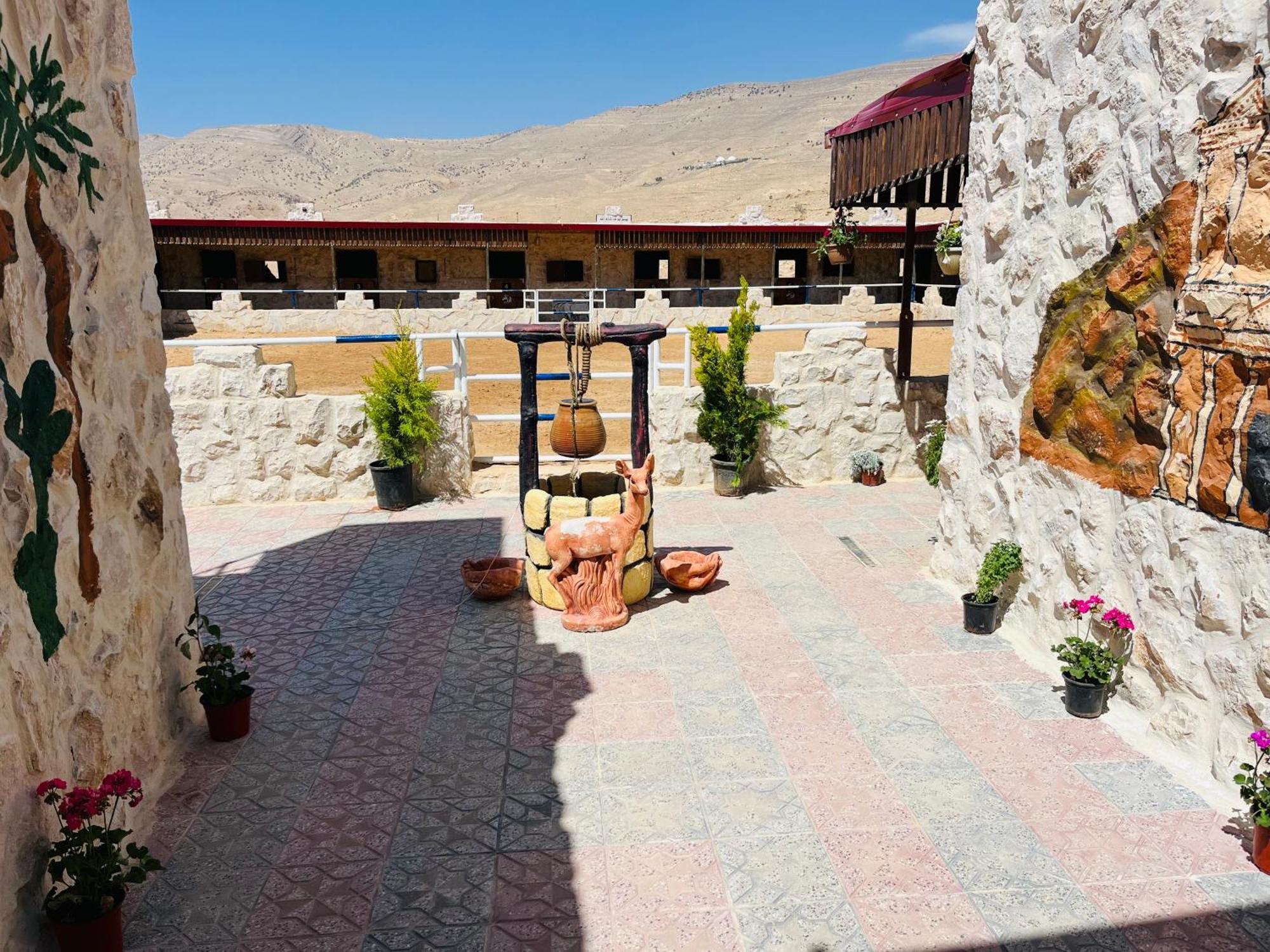 Petra Royal Ranch Bed & Breakfast Wadi Musa Luaran gambar